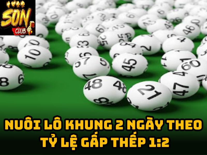 Nuôi lô khung 2 ngày theo tỷ lệ gấp thếp 1:2